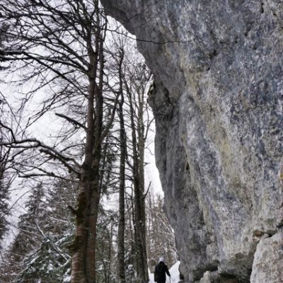 Fusine-sentiero-bosco-1